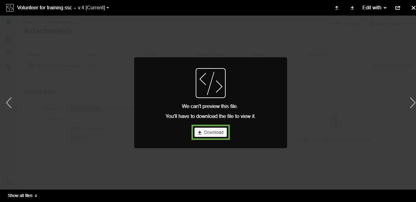 Download Spreadsheet attachment
