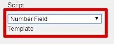 scoring-fields-data-panel-number-field.png