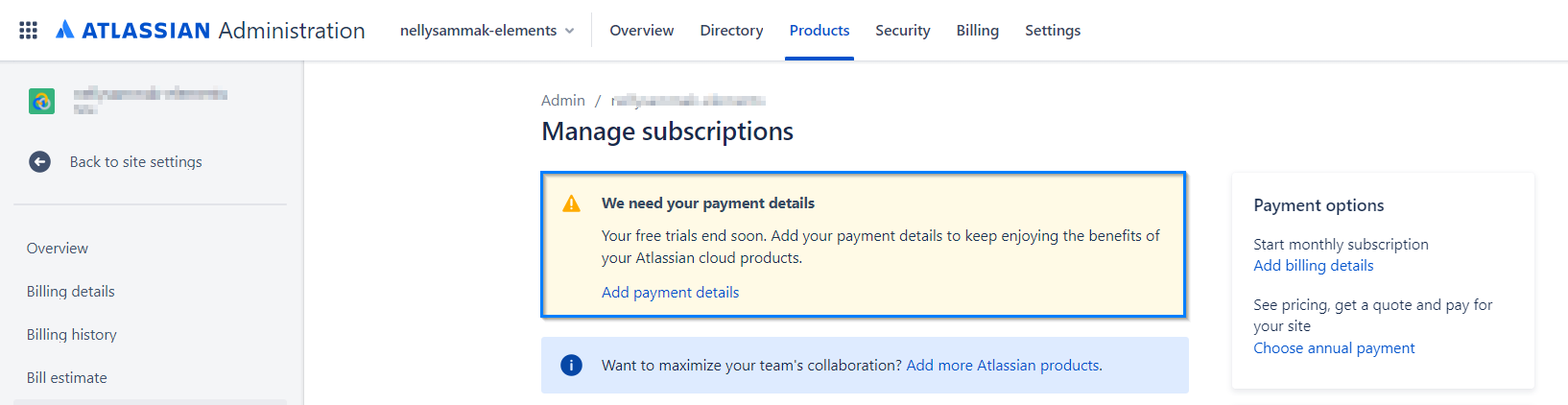 Payment detail.png